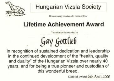 Lifetime Achievement Award