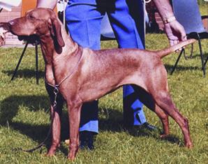 Example of free standing/topping and tailing.